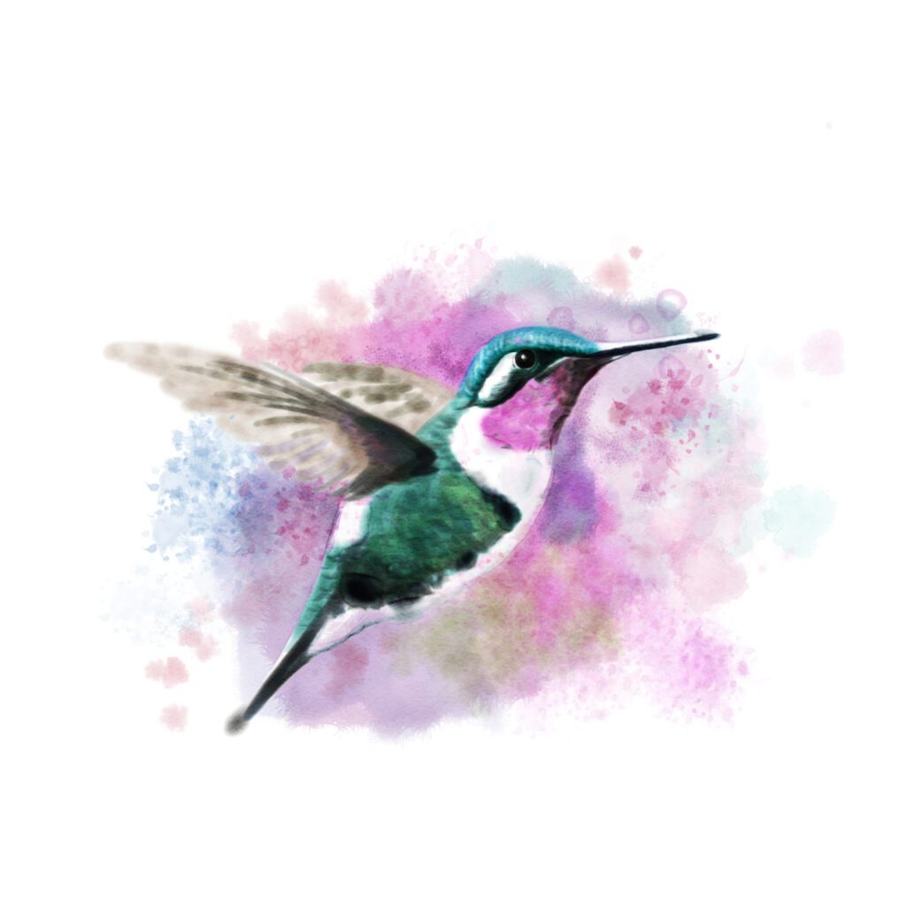 Digital watercolor of a flying hummingbird